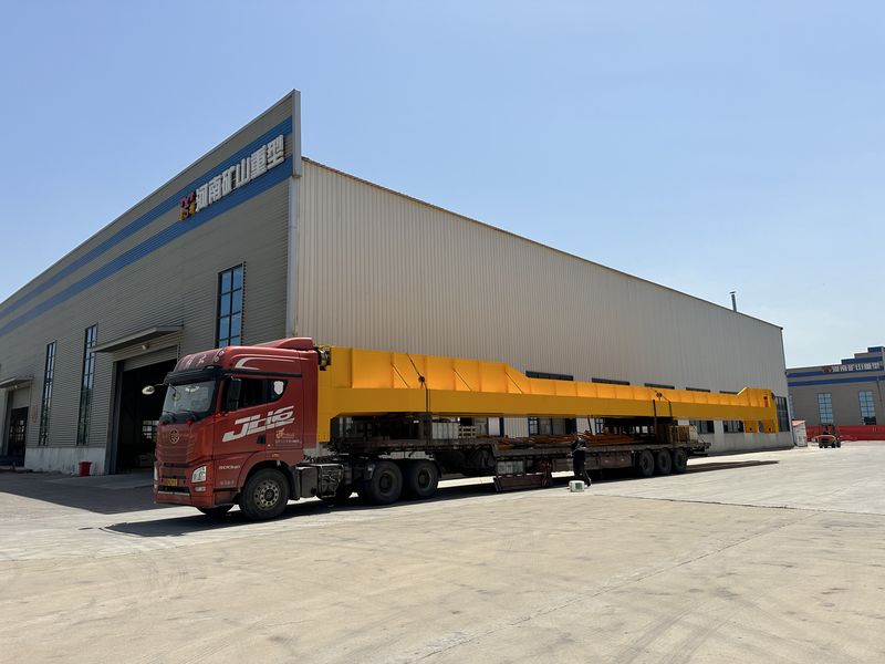 龍佰集團選用我公司QD25/5t，跨度28.5m通用橋式起重機